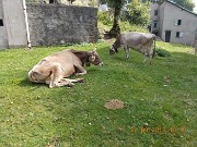 22 settembre 2018 - SASSO GORDONA, SUI SENTIERI DELLA GRANDE GUERRA - FOTOGALLERY